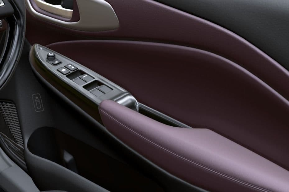 Driver Door Control Switches