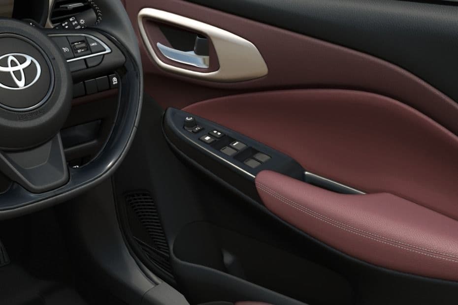 Driver Door Control Switches
